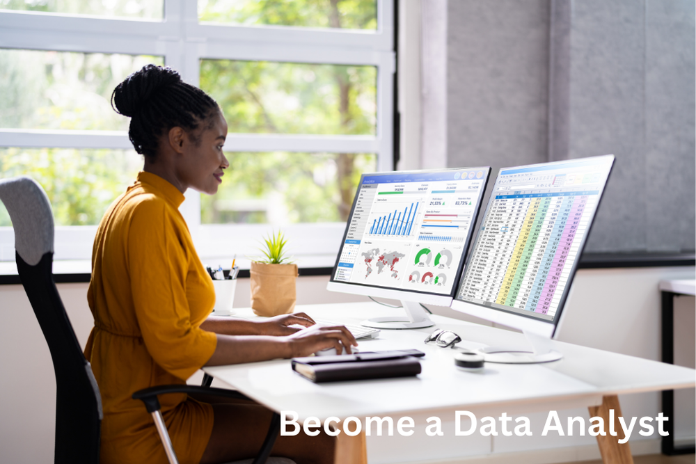 Become a Data Analyst